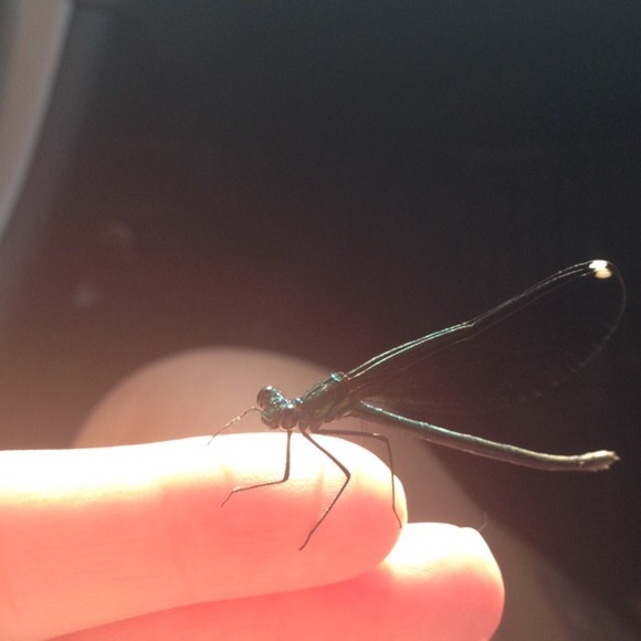 Meet your Posher, Kayde - Picture 10 of 10